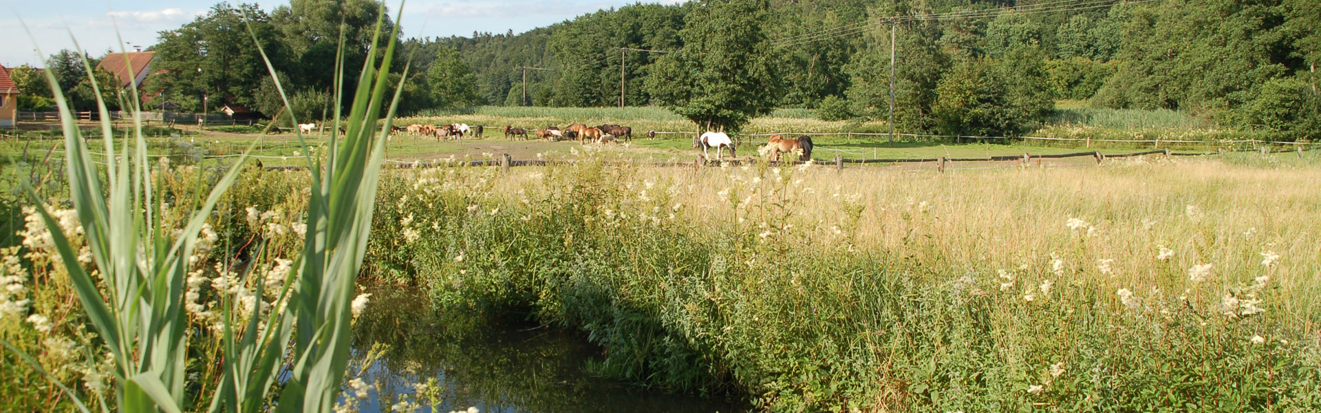 Rathaus in Schiltberg Gemeinde Schiltberg